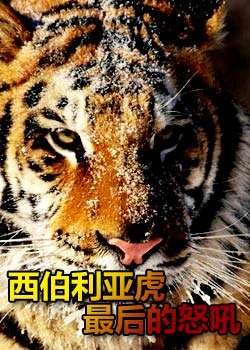 Discovery����Ѱ��:�������ǻ�����ŭ��