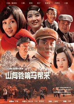 ɽ������������