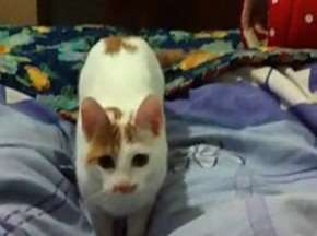 è�乷��ɵɵ�ֲ����