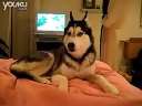 ������˵��I LOVE YOU��