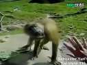 (��Ц)�������涯�������ɾ�