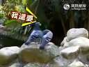 (��Ц)ʵ����ֻ���Ӵ�ͥ�����¼��ǲ�ͣ