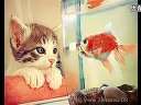 Ҫ�ǲ�Ц����
