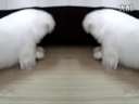 ĸ�����ĵĹ���