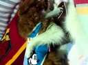 ���м���Ϸ