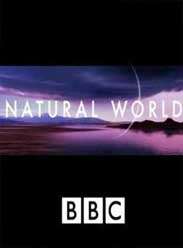 BBCȻ(ԭ)