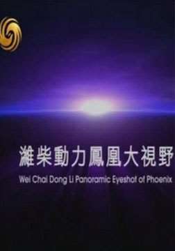 ��˴���Ұ2013Ѹ������