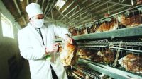 гH7N9