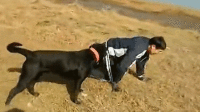 ڶŵǧ