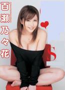 百濑乃乃花种子