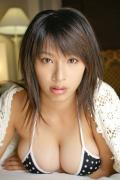 春菜花种子