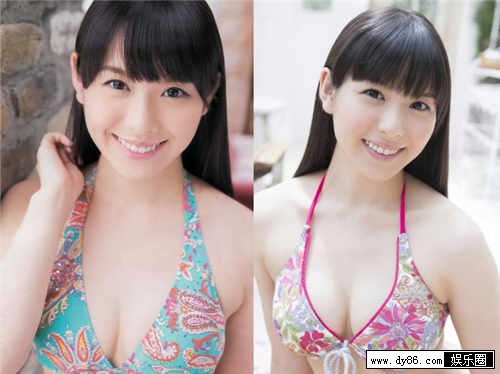 玉木碧种子