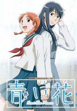 青花/蓝花/青之花种子