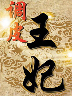 调皮王妃迅雷下载