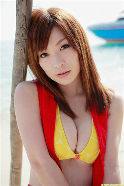 笹仓杏种子