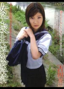 吉田茶罗种子