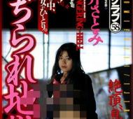 藤井里美种子