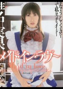 椎名实果种子