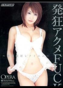 华岛彩种子