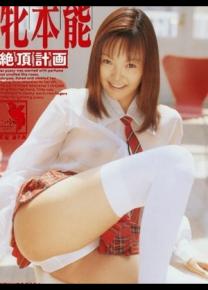 秋吉里香种子