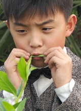 郑伟种子