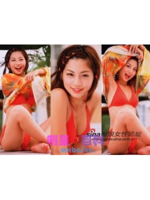 安田美沙种子