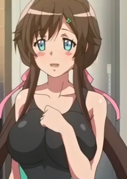  THE ANIMATIONӥ