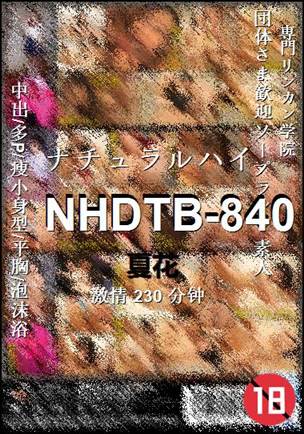 NHDTB-840种子
