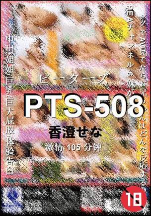 PTS-508种子