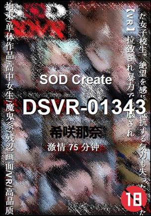DSVR-01343