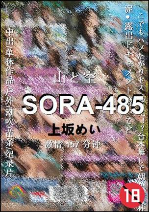 SORA-485种子