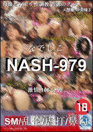 NASH-979种子