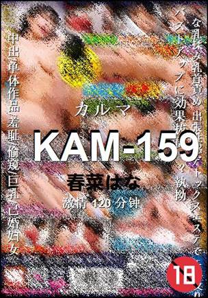 KAM-159种子