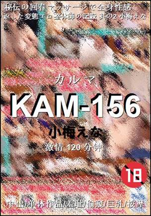 KAM-156