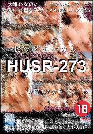 HUSR-273种子