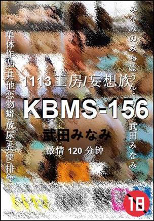 KBMS-156