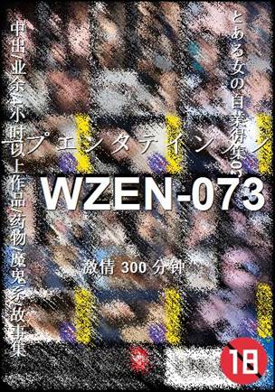 WZEN-073种子