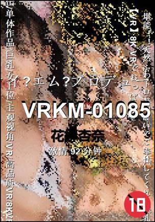 VRKM-01085