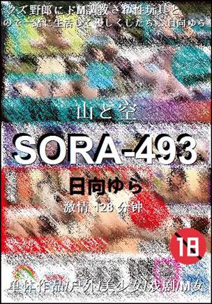 SORA-493种子