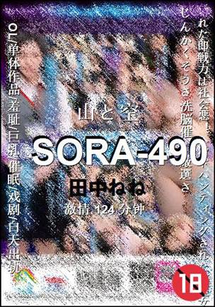 SORA-490种子