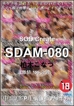 SDAM-080