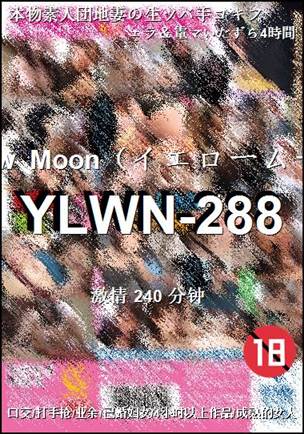 YLWN-288种子
