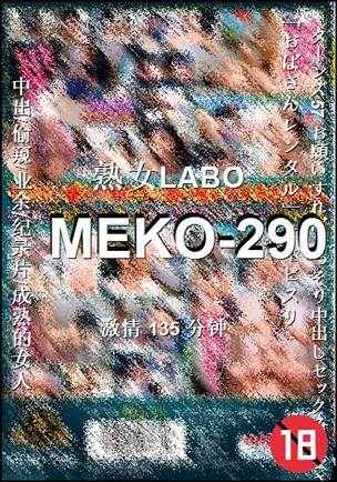 MEKO-290