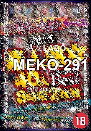 MEKO-291