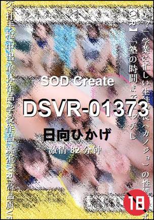 DSVR-01373