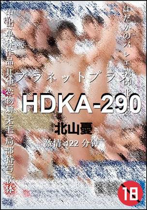 HDKA-290