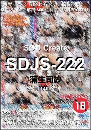 SDJS-222种子