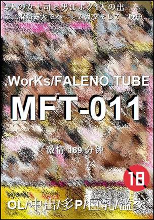 MFT-011种子