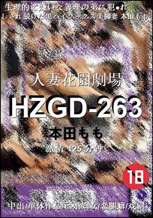 HZGD-263