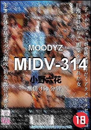 MIDV-314种子